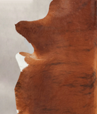 Medium Brindle Cowhide Rug #B2660