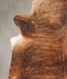 Medium Brindle Cowhide Rug #B2673