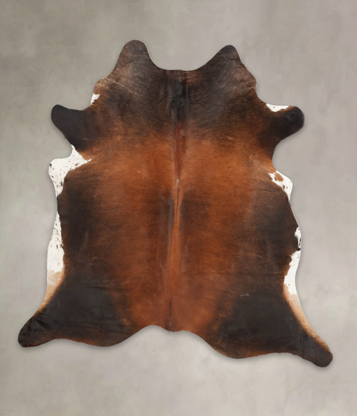 Brown with Red Cowhide Rug #B2709