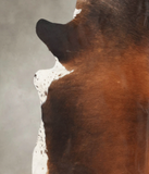 Brown with Red Cowhide Rug #B2709
