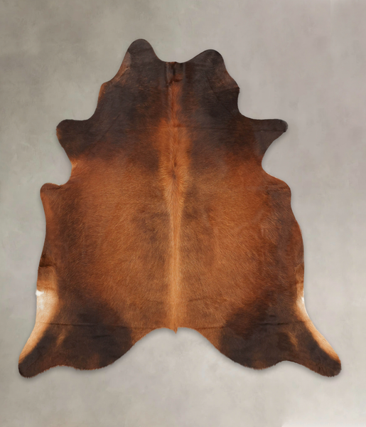 Brown with Red Cowhide Rug #B2710