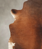 Brown with Red Cowhide Rug #B2712
