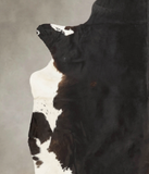 Chocolate and White Cowhide Rug #B2723
