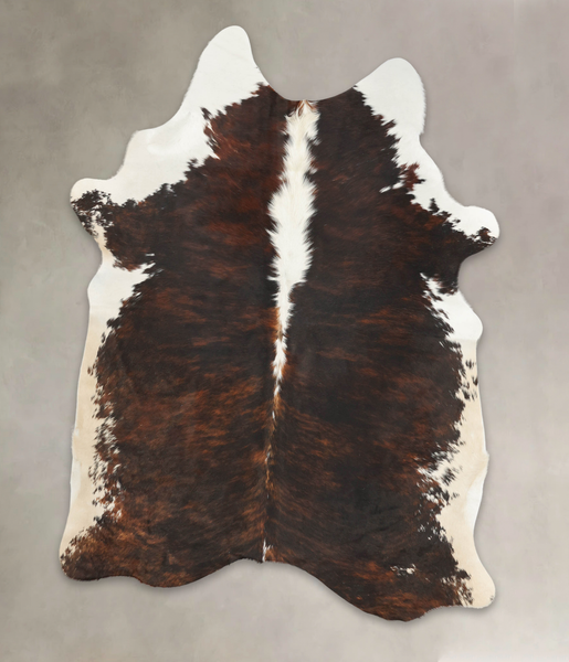 Tricolor Cowhide Rug #B2769