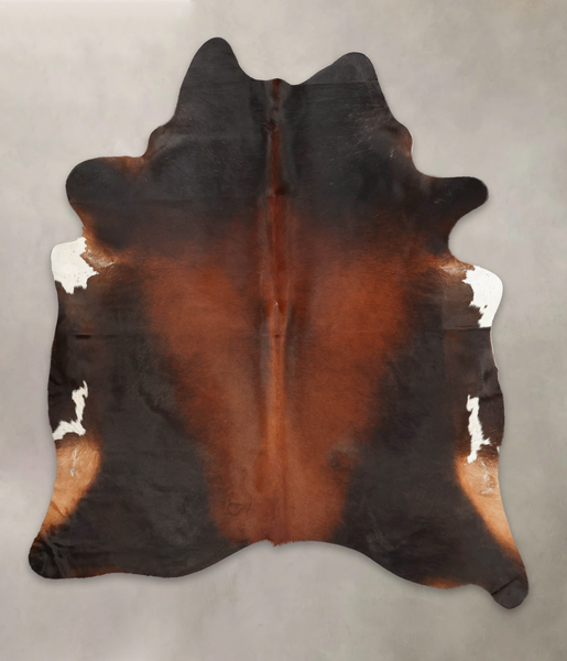 Brown with Red Cowhide Rug #B2809
