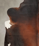 Brown with Red Cowhide Rug #B2809