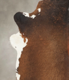 Chocolate Cowhide Rug #B2823