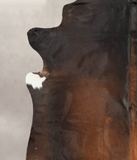 Brown with Red Cowhide Rug #B2871