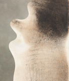 Grey with Beige Cowhide Rug #B2877