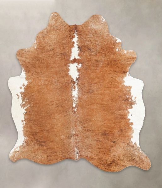 Brown and White Regular Cowhide Rug #B2888