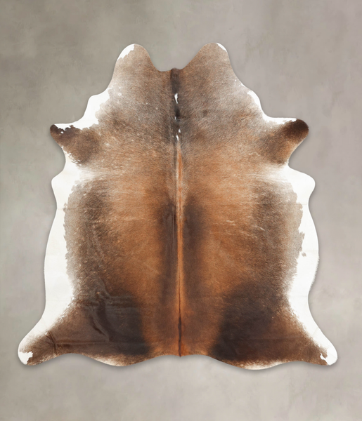 Brown with Red Cowhide Rug #B2904