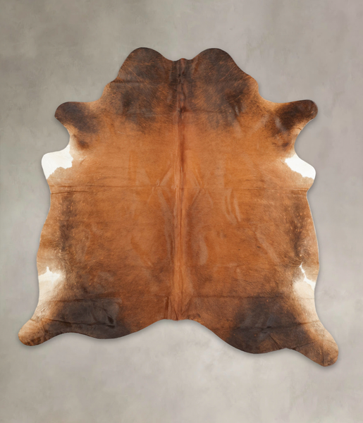 Brown with Red Cowhide Rug #B2923