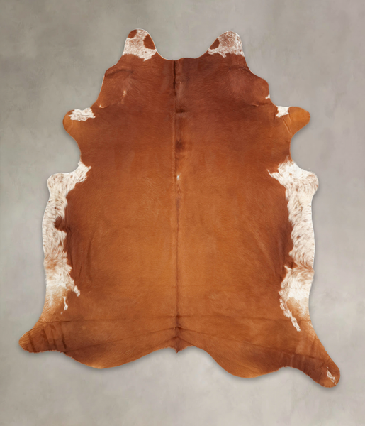 Brown and White Regular Cowhide Rug #B2931