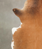 Brown and White Regular Cowhide Rug #B2932