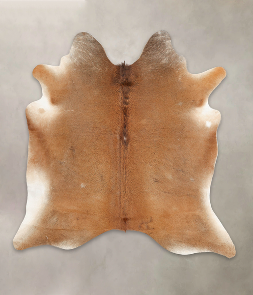 Caramel Cowhide Rug #B2934