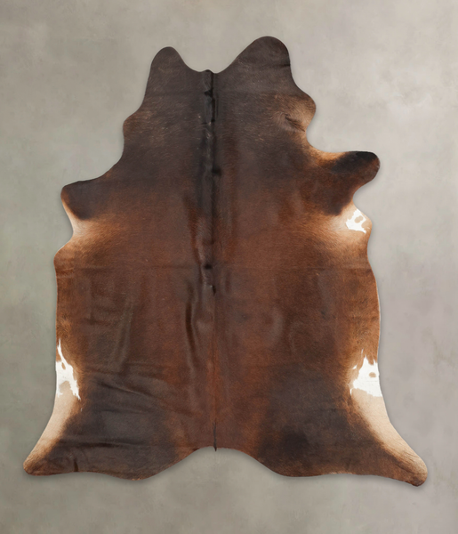 Brown with Red Cowhide Rug #B2935