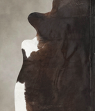 Chocolate Cowhide Rug #B2949