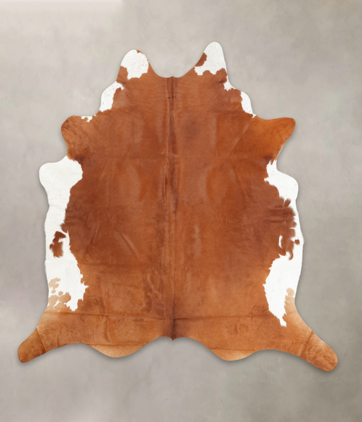 Brown and White Regular Cowhide Rug #B2959