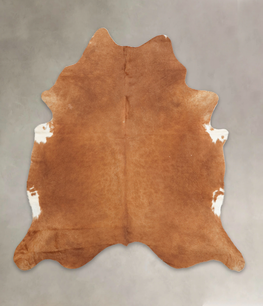Brown and White Regular Cowhide Rug #B2963