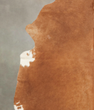 Brown and White Regular Cowhide Rug #B2963