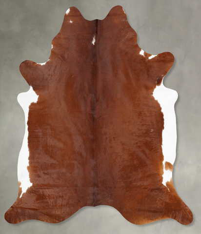 Brown and White Regular Cowhide Rug #B29999