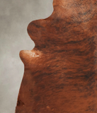 Medium Brindle Cowhide Rug #B3000