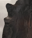 Chocolate Cowhide Rug #B3019