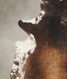 Chocolate and White Cowhide Rug #B3023