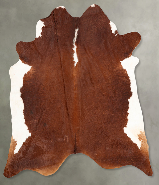 Brown and White Regular Cowhide Rug #B30436