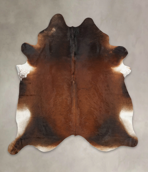 Brown with Red Cowhide Rug #B3063