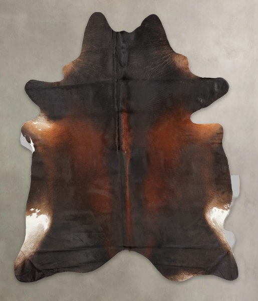 Brown with Red Cowhide Rug #B3134