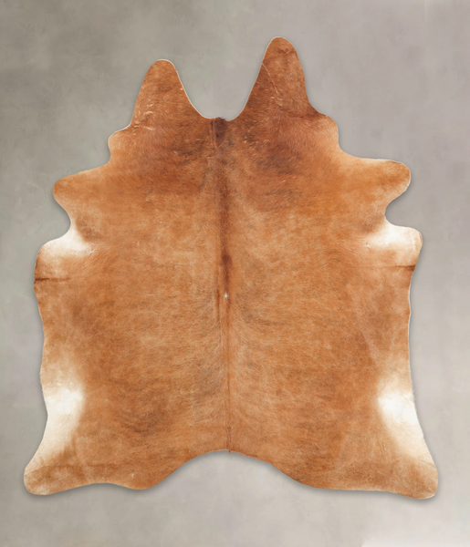 Solid Brown Cowhide Rug #B3138