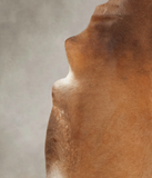 Solid Brown Cowhide Rug #B3139