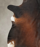 Brown with Red Cowhide Rug #B3145