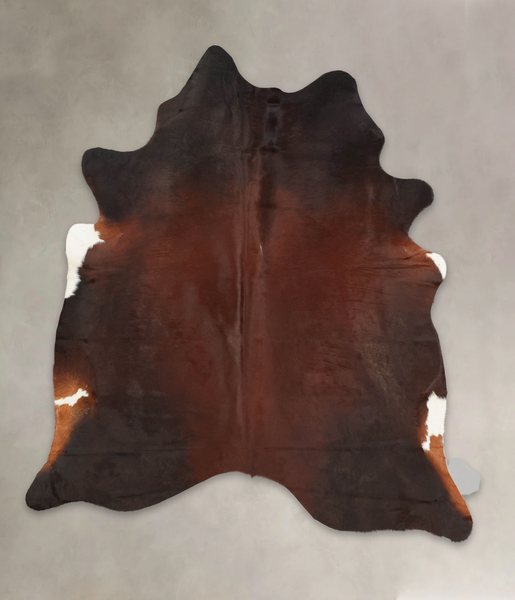 Brown with Red Cowhide Rug #B3150