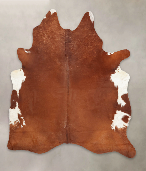 Brown and White Regular Cowhide Rug #B3153