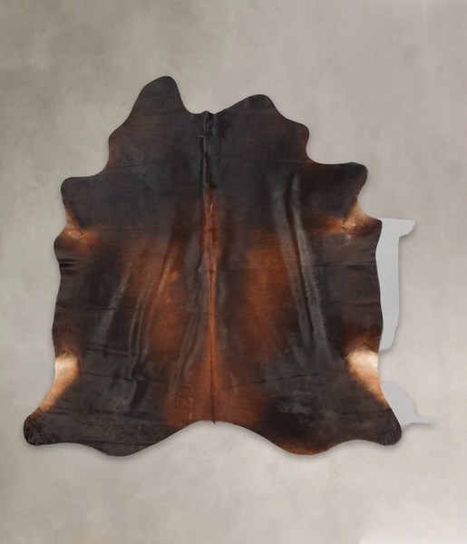 Brown with Red Cowhide Rug #B3156