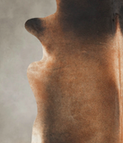 Brown with Red Cowhide Rug #B3213