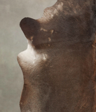 Chocolate Cowhide Rug #B3220