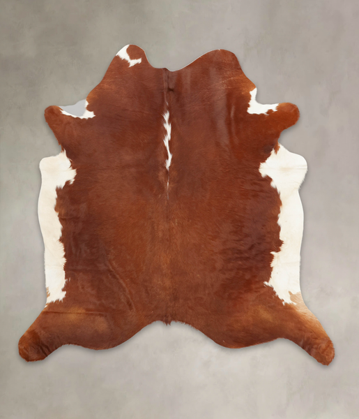 Brown and White Regular Cowhide Rug #B3224