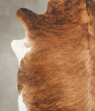 Medium Brindle Cowhide Rug #B3269