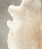 Grey with Beige Cowhide Rug #B3310