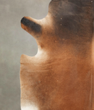 Brown with Red Cowhide Rug #B3323