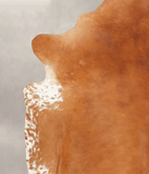 Brown and White Regular Cowhide Rug #B3332