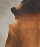 Brown with Red Cowhide Rug #B3333