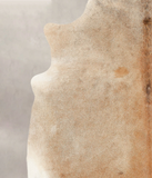 Caramel Cowhide Rug #B3346