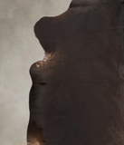 Chocolate Cowhide Rug #B3355