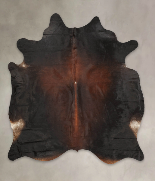 Brown with Red Cowhide Rug #B3368