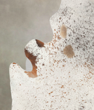 Salt and Pepper Brown Cowhide Rug #B3384