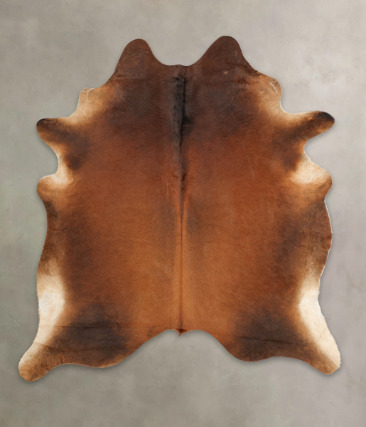 Brown with Red Cowhide Rug #B3390